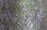 Stringston fibreglass roof work